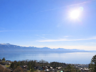 Villa individuelle de 4.5 pièces avec vue lac et fort potentiel d’agrandissement image 5