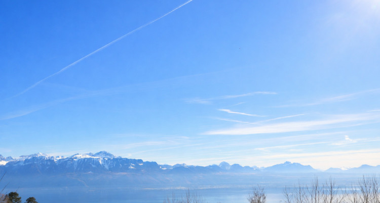 Villa individuelle de 4.5 pièces avec vue lac et fort potentiel d’agrandissement image 6