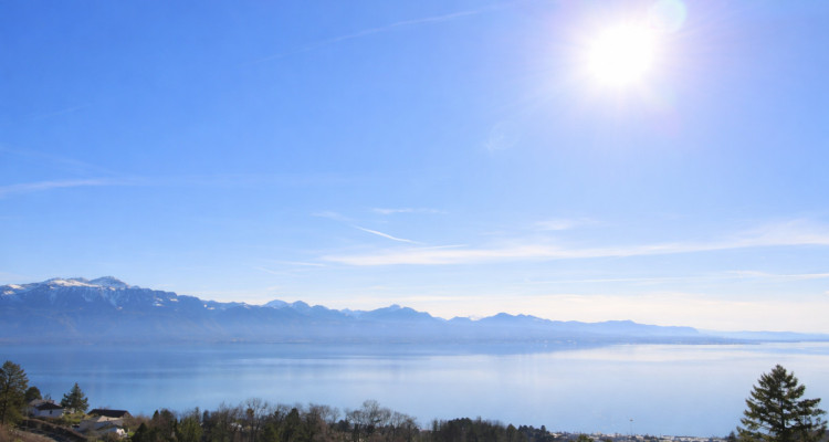 Villa individuelle de 4.5 pièces avec vue lac et fort potentiel d’agrandissement image 5