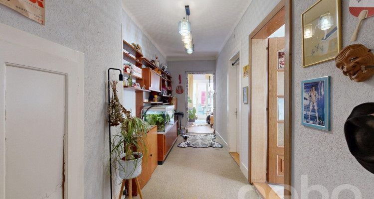 Immeuble mixte 2 Commerces + 3.5 + 8.5 en duplex image 7