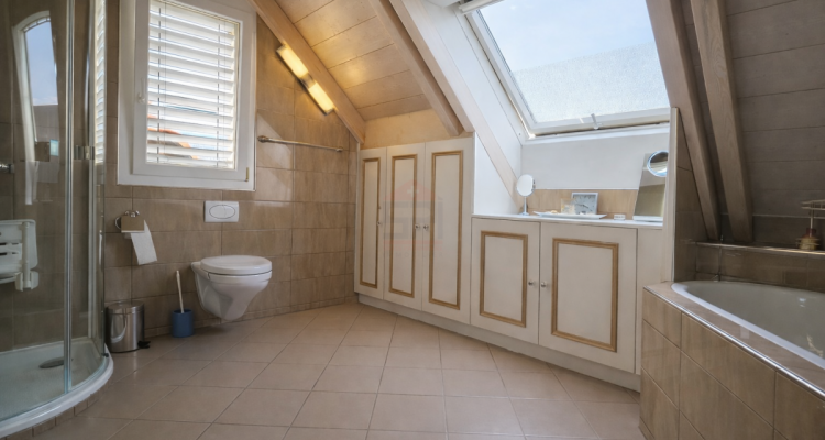 Superbe maison individuelle lumineuse avec jardin arboré, jacuzzi et double garage image 13