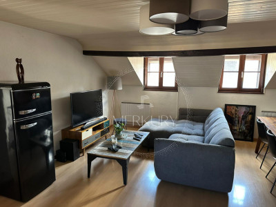 Un magnifique appartement dans le vieux Carouge  image 1
