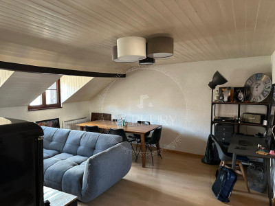 Un magnifique appartement dans le vieux Carouge  image 2