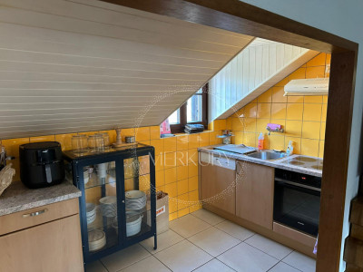 Un magnifique appartement dans le vieux Carouge  image 3