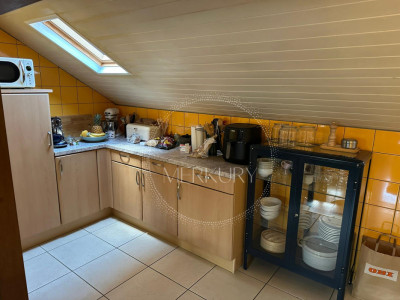 Un magnifique appartement dans le vieux Carouge  image 4