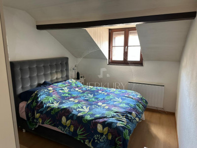 Un magnifique appartement dans le vieux Carouge  image 6