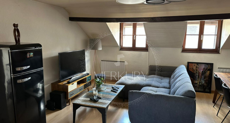 Un magnifique appartement dans le vieux Carouge  image 1