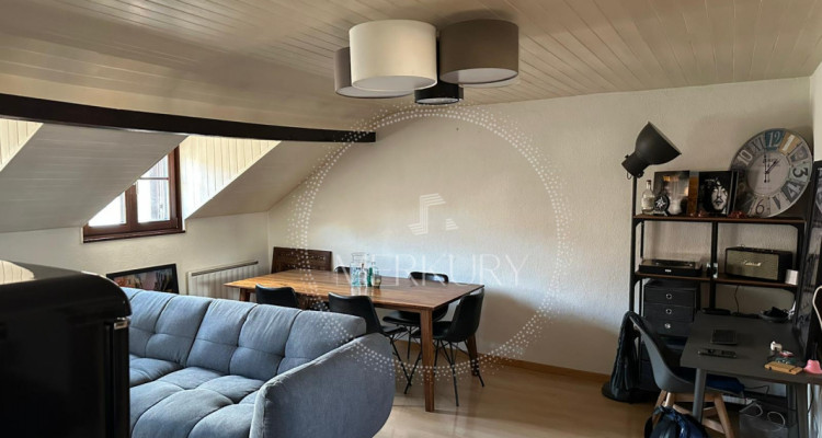 Un magnifique appartement dans le vieux Carouge  image 2