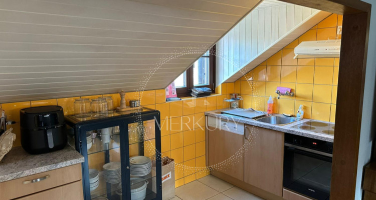 Un magnifique appartement dans le vieux Carouge  image 3