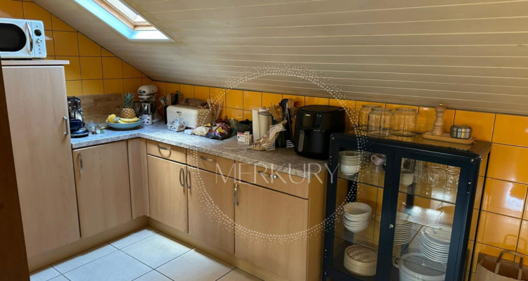 Un magnifique appartement dans le vieux Carouge  image 4