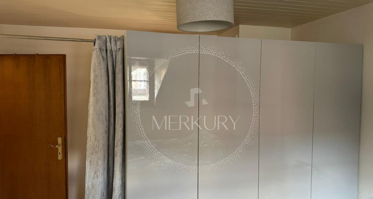 Un magnifique appartement dans le vieux Carouge  image 5