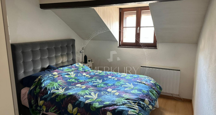 Un magnifique appartement dans le vieux Carouge  image 6