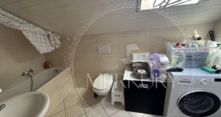 Un magnifique appartement dans le vieux Carouge  image 7