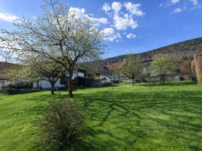 Splendide maison familiale image 13