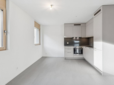 Appartement triplex charmant avec jardin - Romont (FR) image 4