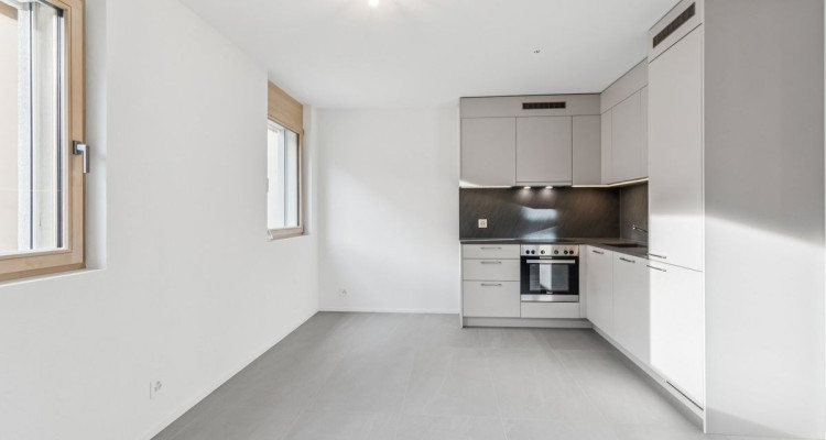 Appartement triplex charmant avec jardin - Romont (FR) image 4