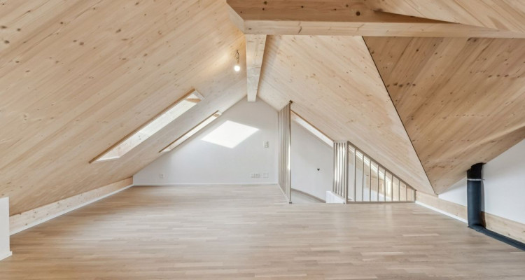 Appartement triplex charmant avec jardin - Romont (FR) image 10