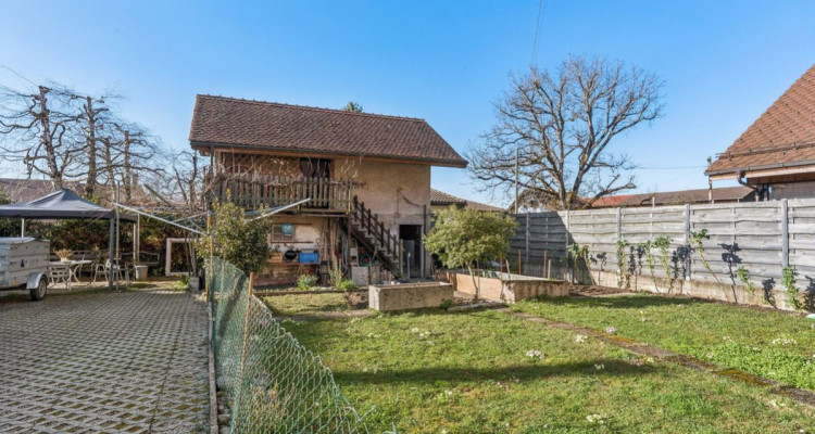 Maison avec trois appartements dans un cadre paisible à Marnand image 8