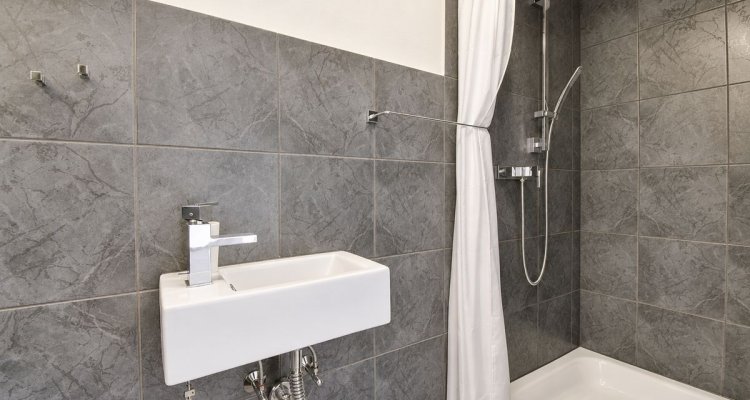 Charmant appartement de 4,5 pièces rénové au coeur du village image 7