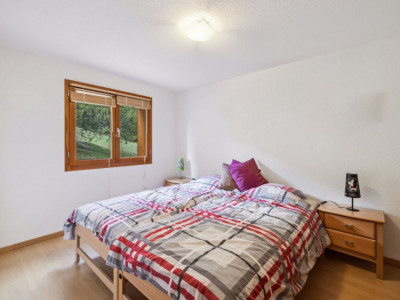 Grand appartement traversant de 5 pièces avec vue Alpes image 4