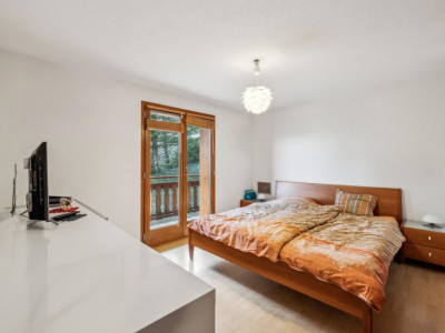 Grand appartement traversant de 5 pièces avec vue Alpes image 5