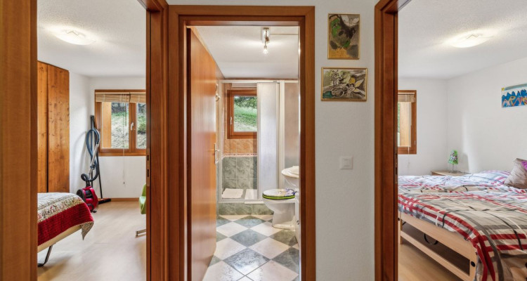 Grand appartement traversant de 5 pièces avec vue Alpes image 3