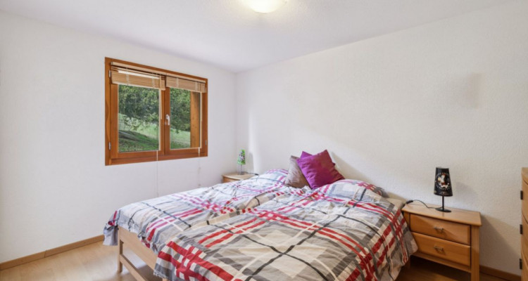 Grand appartement traversant de 5 pièces avec vue Alpes image 4