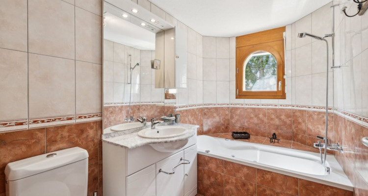 Grand appartement traversant de 5 pièces avec vue Alpes image 6