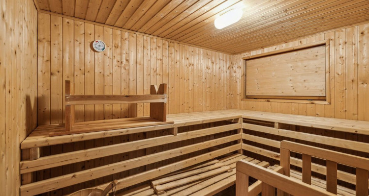 Grand appartement traversant de 5 pièces avec vue Alpes image 7