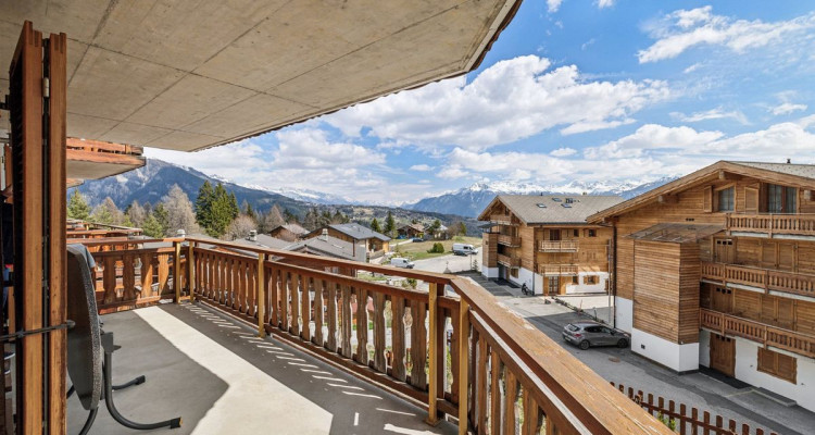 Grand appartement traversant de 5 pièces avec vue Alpes image 8