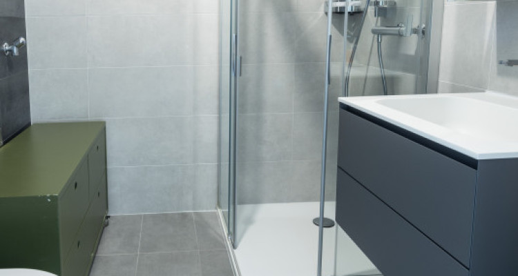 Superbe appartement 2P à 200 m du lac image 5