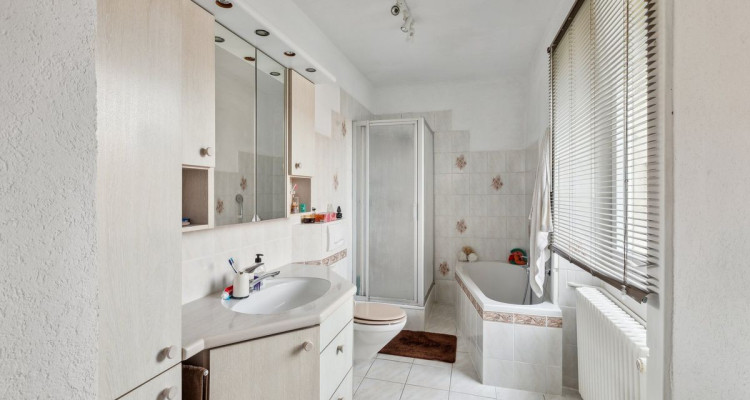 Spacieuse maison avec grand jardin image 8