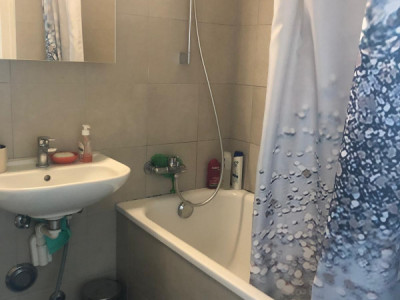 Appartement 3 pièces Grand Lancy  image 3