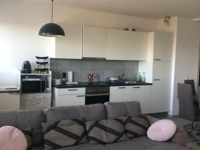 Appartement 3 pièces Grand Lancy  image 1