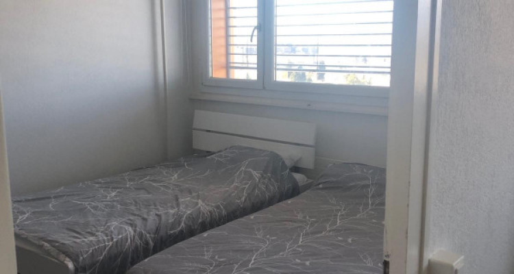 Appartement 3 pièces Grand Lancy  image 2