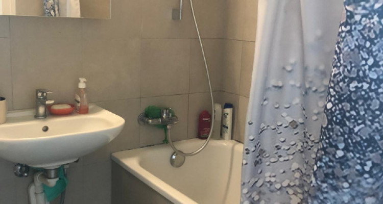 Appartement 3 pièces Grand Lancy  image 3