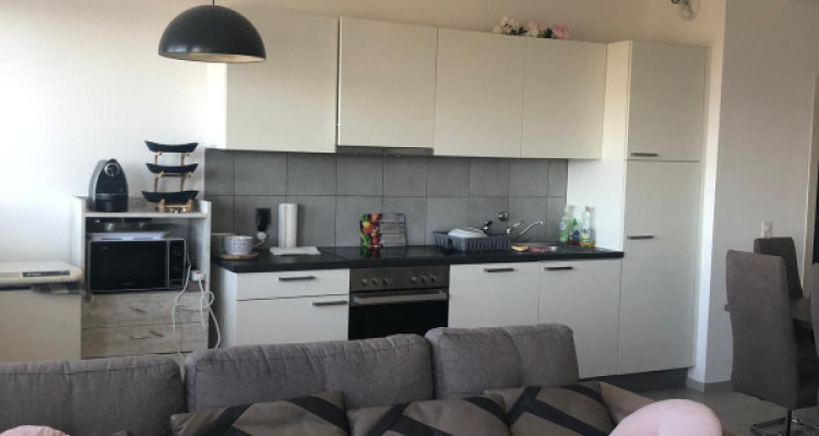 Appartement 3 pièces Grand Lancy  image 1