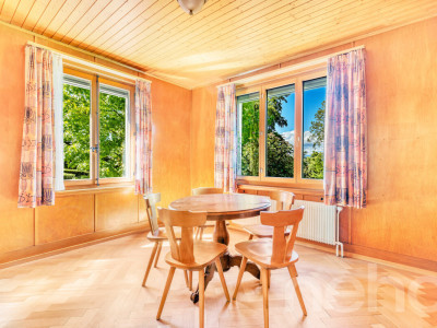 Exklusives Wohnen in Seenähe mit zusätzlicher Ausbaufläche image 7