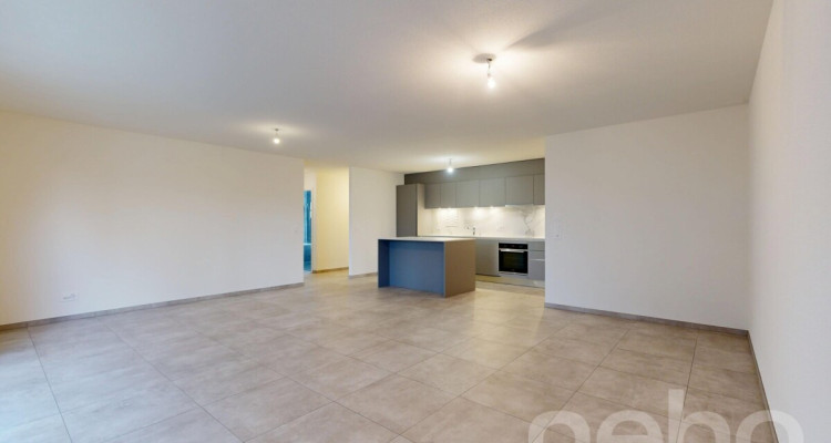 Orbe magnifique appartement avec jardin image 7