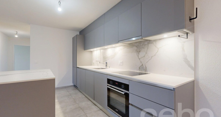 Orbe magnifique appartement avec jardin image 8