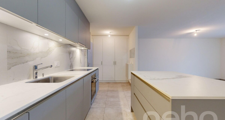 Orbe magnifique appartement avec jardin image 9