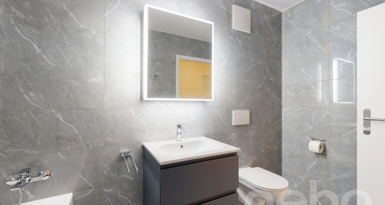 Orbe magnifique appartement avec jardin image 11