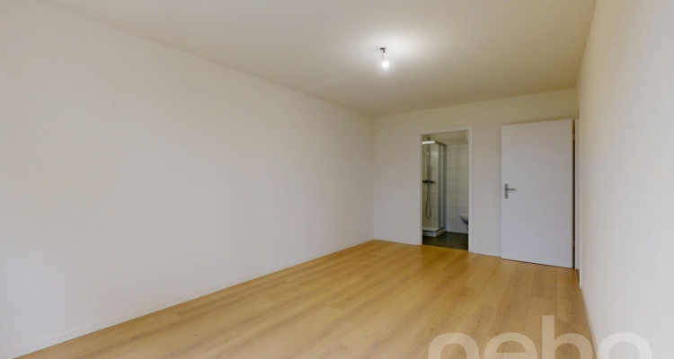 Orbe magnifique appartement avec jardin image 11