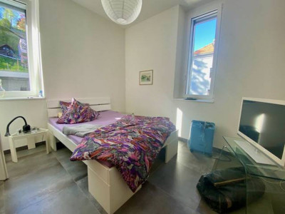 Bel appartement 2 pièces loué,avec réduit et place de parc image 4