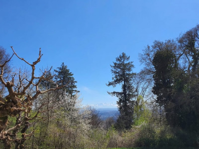 Havre de paix avec vue panoramique et jardin privé à Evilard image 12