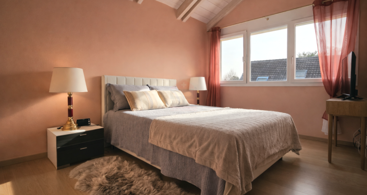 Superbe maison individuelle lumineuse avec jardin arboré, jacuzzi et double garage image 8