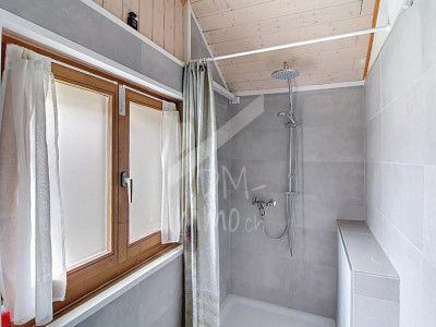 Petite maison rénovée - Choex proche centre image 6