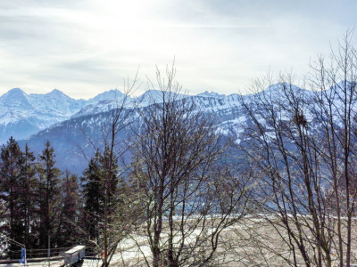 Neubau 6-Zimmer-Einfamilienhaus mit herrlichem Bergblick image 5