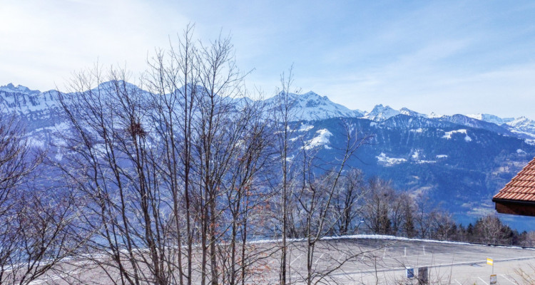 Neubau 6-Zimmer-Einfamilienhaus mit herrlichem Bergblick image 4