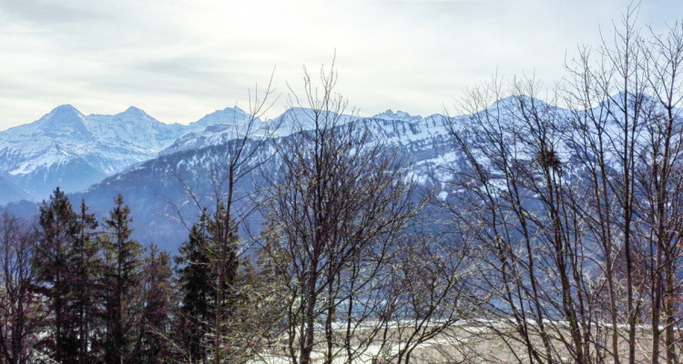Neubau 6-Zimmer-Einfamilienhaus mit herrlichem Bergblick image 5